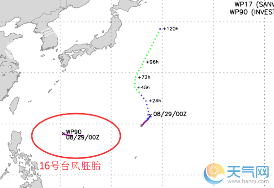 台风16最新消息,台风台风16号最新消息报告