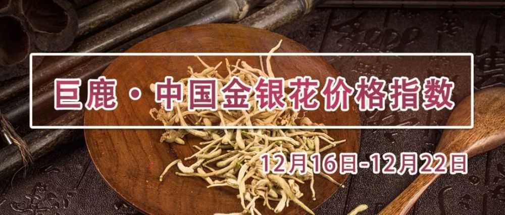 山东金银花最新价格,山东金银花最新价格动态分析