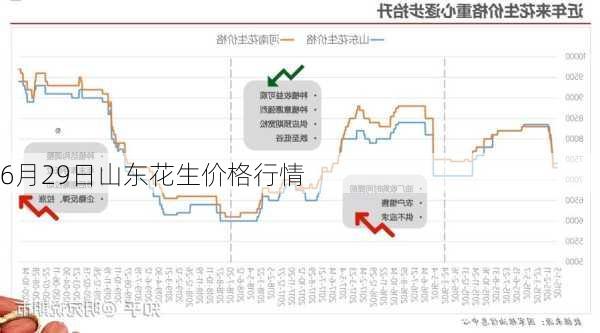 犬马之劳 第11页