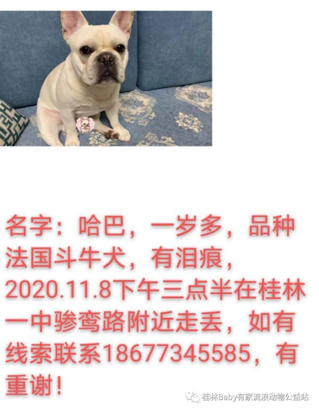 犬舍最新招聘饲养员,犬舍最新招聘饲养员启事