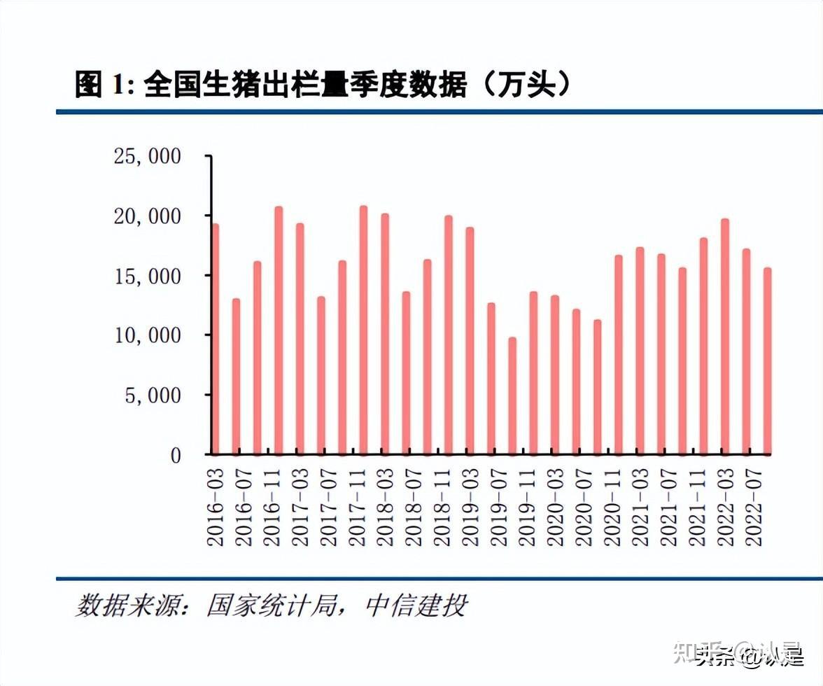 最新母猪价格,最新母猪价格动态分析