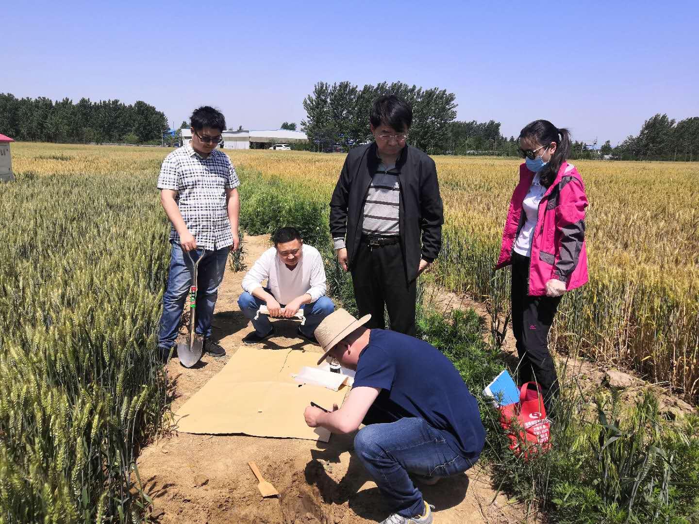 土壤环境质量标准最新,最新土壤环境质量标准的重要性及其影响