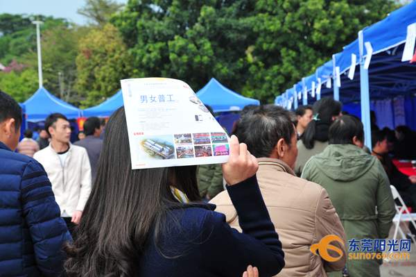 凤岗最新招聘,凤岗最新招聘动态及就业市场分析