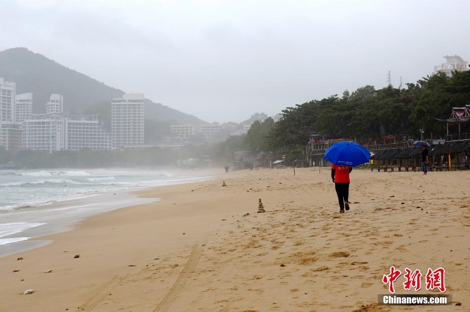 台风雷伊最新消息,台风雷伊最新消息，影响及应对措施全面解析