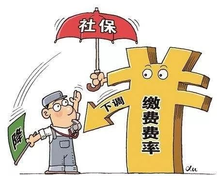 绿莹莹 第12页