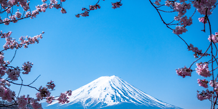 日本最新素,日本最新素，探索现代日本的新面貌