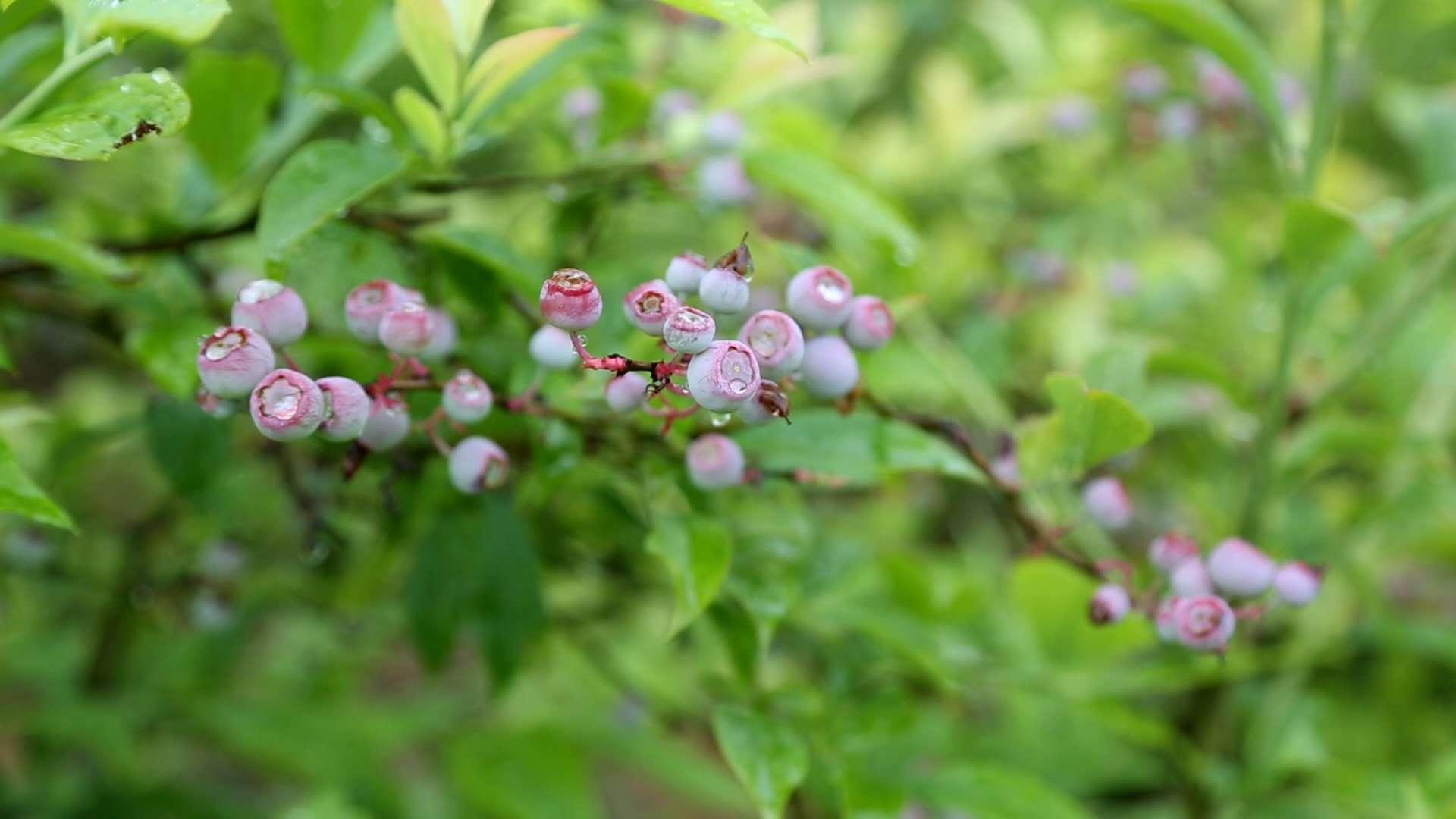 降龙伏虎 第9页