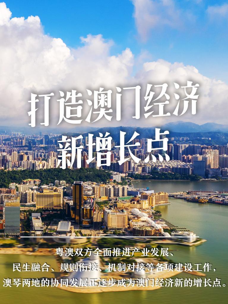 2024新澳门正版挂牌,新澳门正版挂牌，探索未来的机遇与挑战（2024展望）