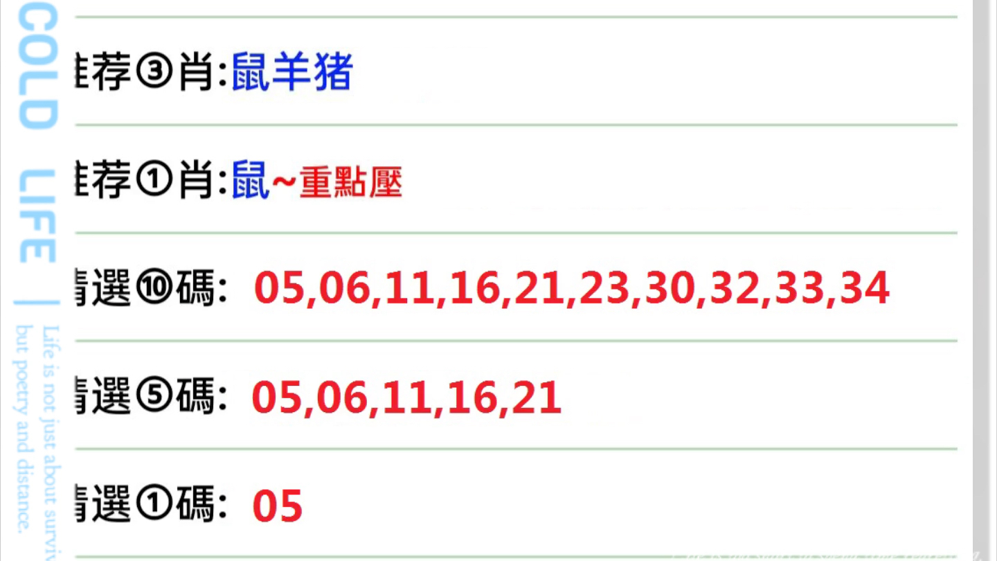 新澳门今晚精准一肖,新澳门今晚精准一肖——探索生肖预测的魅力与真相