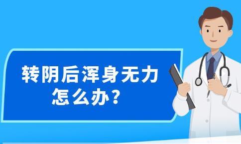 新澳精准资料内部资料,新澳精准资料内部资料深度解析与应用展望