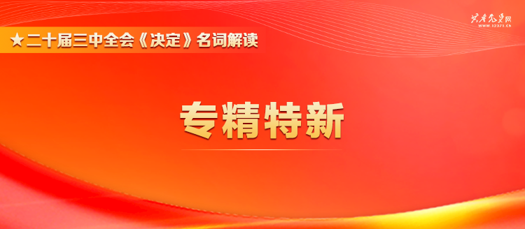 管家婆一和中特,管家婆一与中特，探索与实践的交融