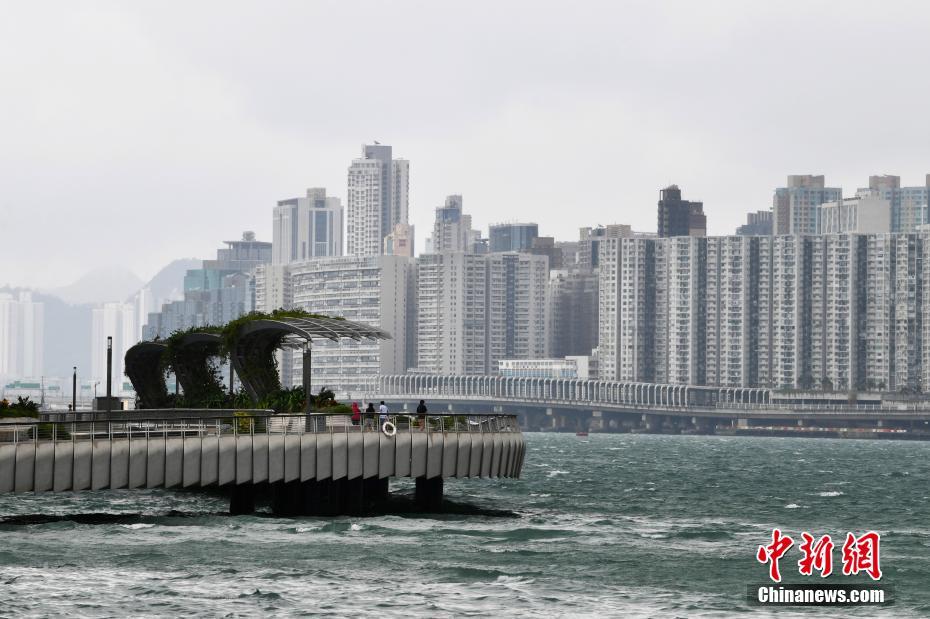 香港大众网免费资料查询网站,香港大众网免费资料查询网站，信息海洋中的导航灯塔