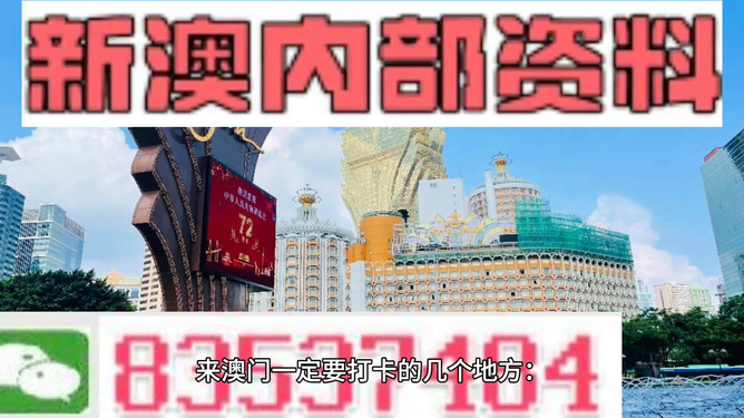 2024年新澳门正版资料,探索新澳门正版资料，2024年的展望与机遇