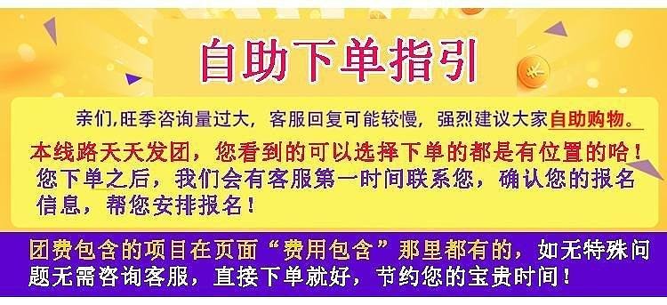 2024澳门天天开好彩大全免费,澳门天天开好彩背后的真相与风险警示