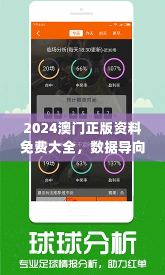 2024澳门精选免费资料,澳门精选资料，探索2024年免费资源的宝藏