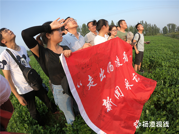 澳门一码一肖100准王中鬼谷子,澳门一码一肖与鬼谷子，探寻背后的神秘与警示