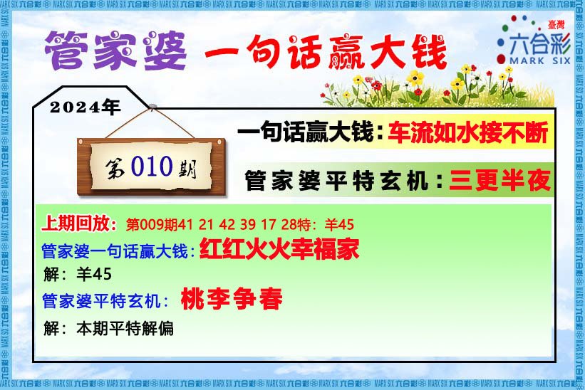 二四六管家婆免费资料,二四六管家婆免费资料，全面解析与实用指南