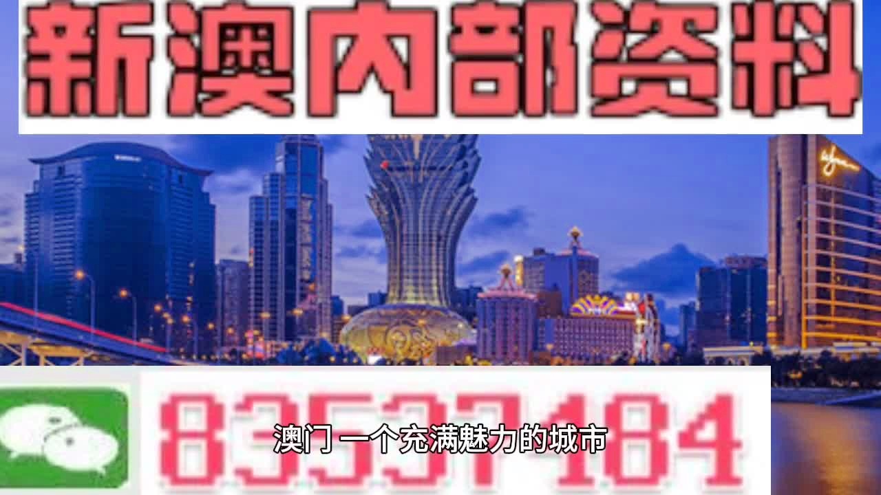 新澳内部资料精准大全,新澳内部资料精准大全详解