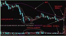 精准一肖100%准确精准的含义,精准一肖，探寻百分之百准确预测的魅力与含义