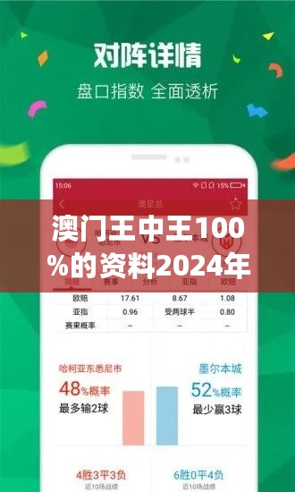 2025澳门王中王100%期期中,探索未来，澳门王中王游戏与期期中的奥秘（2025视角）