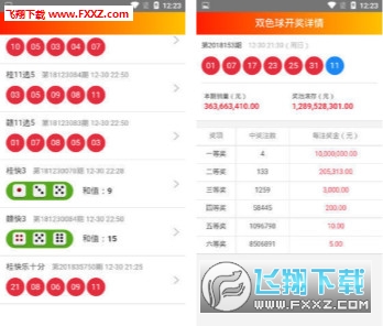 2025澳门王中王100%期期中,探索澳门王中王彩票游戏，期期中与未来的可能性（2025展望）