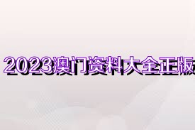 2025香港资料大全正版资料图片,香港资料大全，探索充满活力的香港城市 2025正版资料与图片集