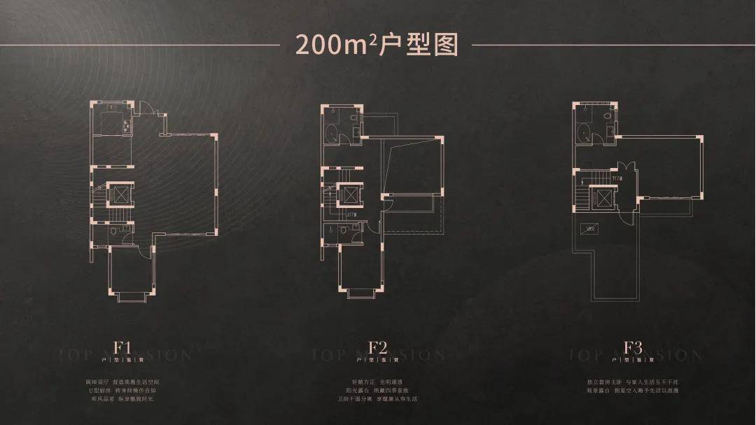 新门内部资料精准大全,新门内部资料精准大全，深度探索与解析