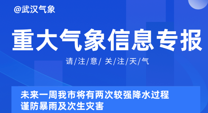 新奥精准资料免费提供510期,新奥精准资料免费提供第510期深度解析与应用指南